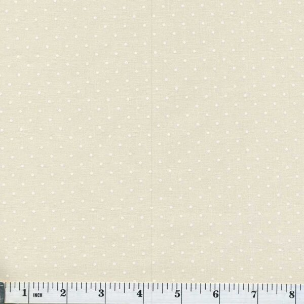 A Modern Background Paper Pindot quilt