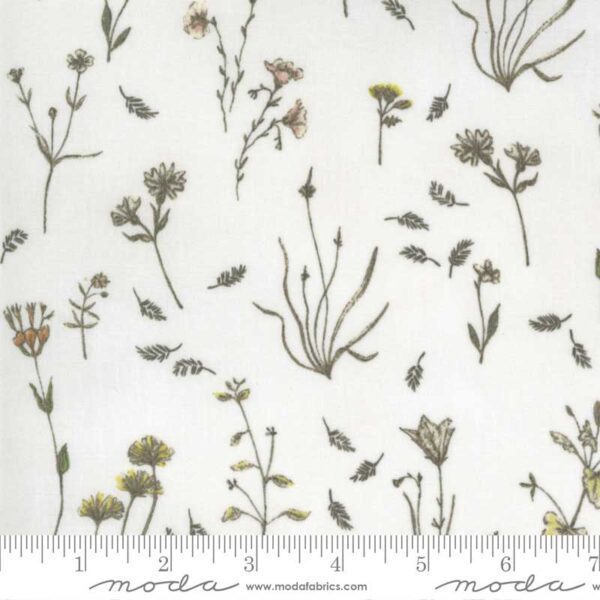 Botanicals-16911-11 Moda Janet Clare