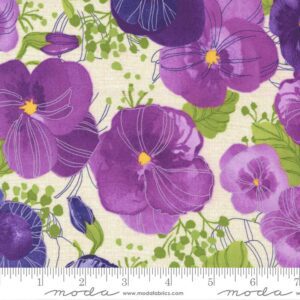 Pansy's Posies 48720 Robin Pickens Moda