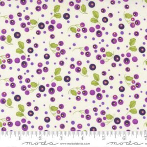 Pansy's Posies 48723-11 Small Floral Moda Robin Pickens