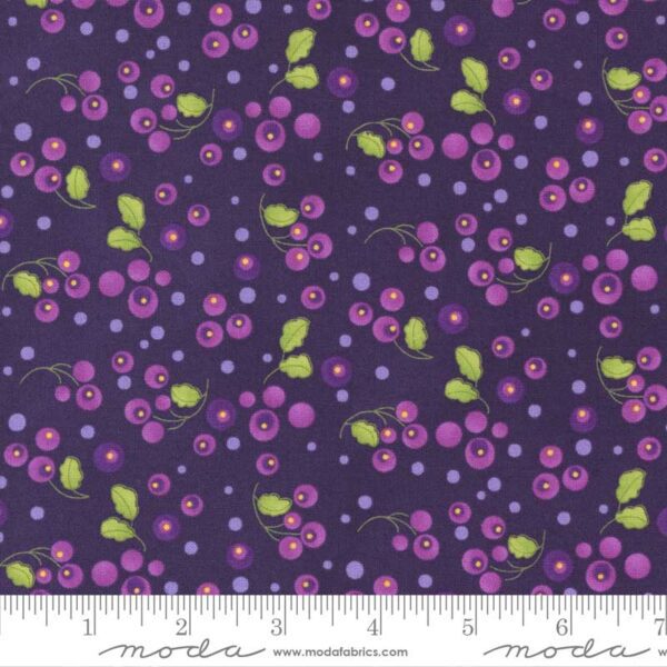 Pansy's Posies 48723-15 Moda Robin Pickens Amethyst Quilting Fabric