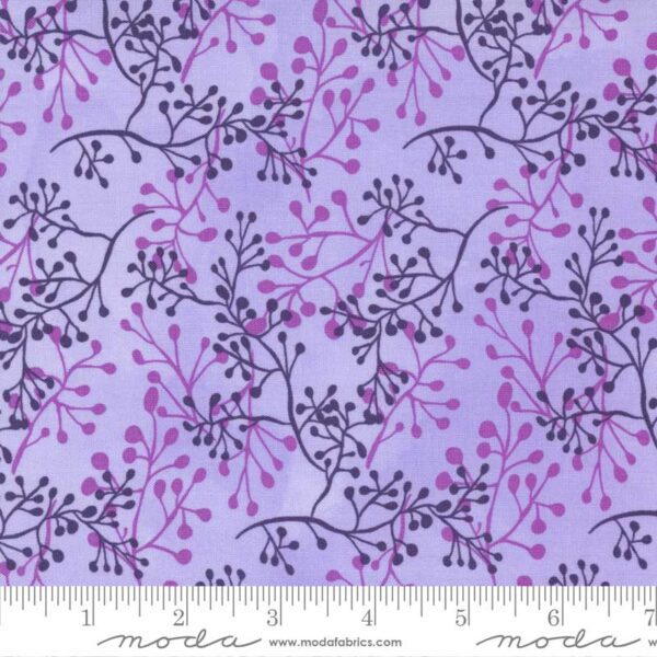 Pansy's Posies 48724-23 Lavender Moda Robin Pickens Quilting Fabric