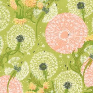 Dandi Duo Grass Robin Pickens Moda Fabrics 48750-13