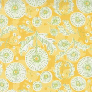 Dandi Duo Maize 48751-12 Moda Fabrics Designed by Robin Pickens. 100% Cotton Quilting Fabric 44 inches wide.